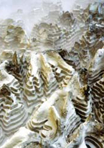 Paysages imaginés et paysages construits Paysages imaginés et paysages construits