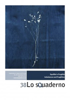 Squilibri e fragilità | Imbalances and Fragilities