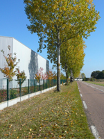 La forme du territoire productif La forme du territoire productif